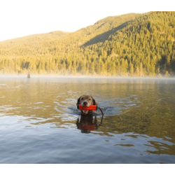 Chuckit Amphibious Bumper