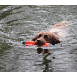 Chuckit Amphibious Bumper