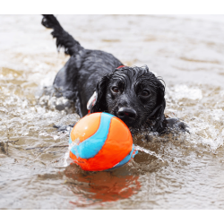 Chuckit Amphibious Mega Ball
