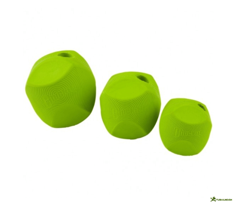 Chuckit Erratic Ball