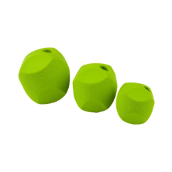 Chuckit Erratic Ball