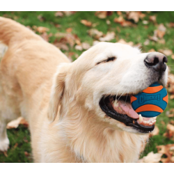 Chuckit Ultra Squeaker Ball