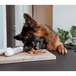 Companion+ Feast foderp�lse Lamb