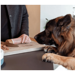 Companion+ Feast foderp�lse Lamb