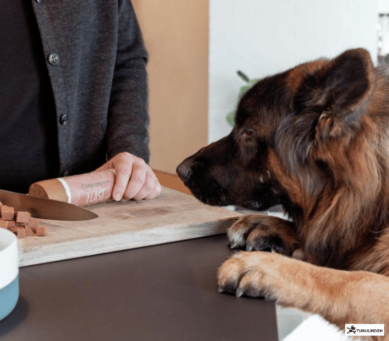 Companion+ Feast foderp�lse Lamb