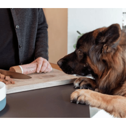 Companion+ FEAST foderp�lse Duck