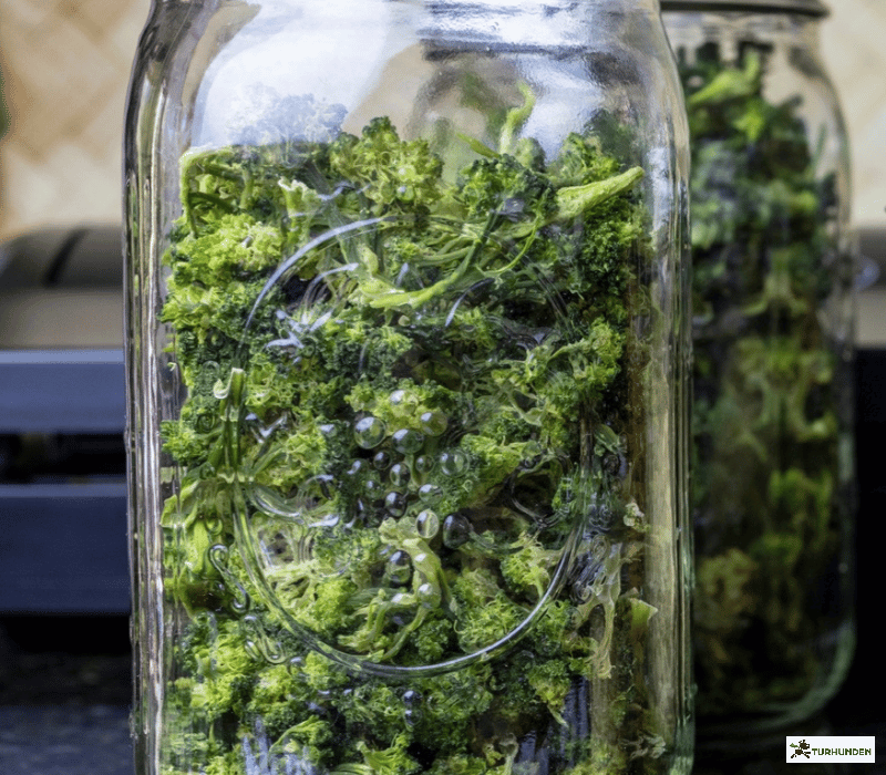 Cooka's Cookies - Trret Broccoli