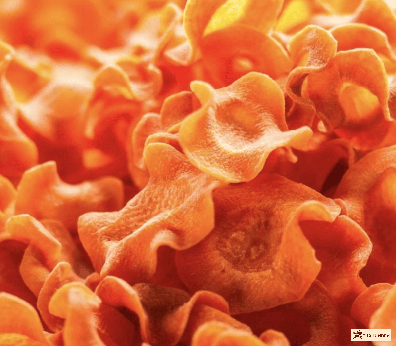 Cooka's Cookies - Gulerodschips