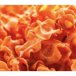 Cooka's Cookies - Gulerodschips