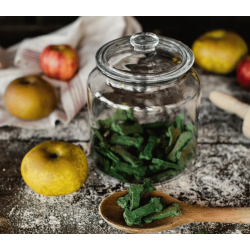 Cooka's Cookies - Porto Spirit