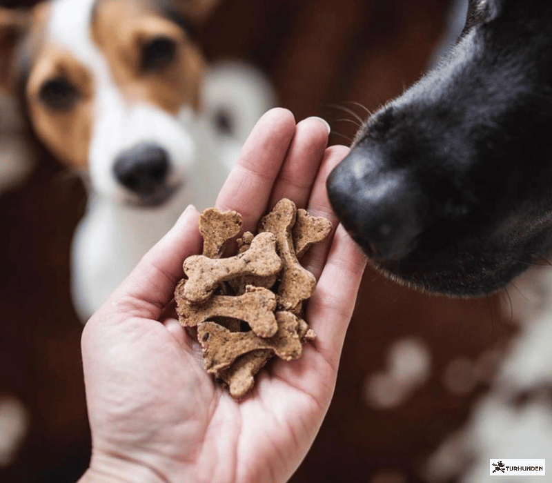 Cooka's Cookies - Beef Bones
