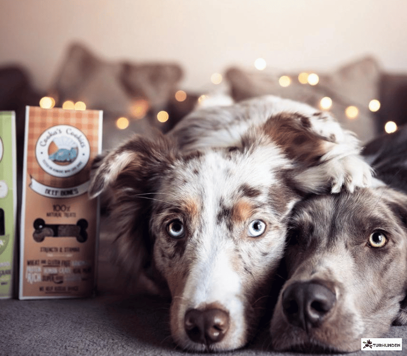 Cooka's Cookies - Beef Bones