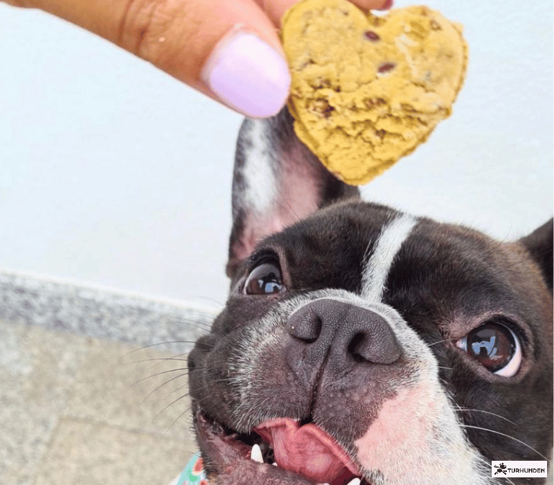 Cooka's Cookies - Chicken Love