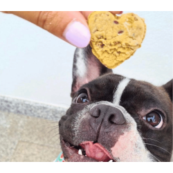 Cooka's Cookies - Chicken Love