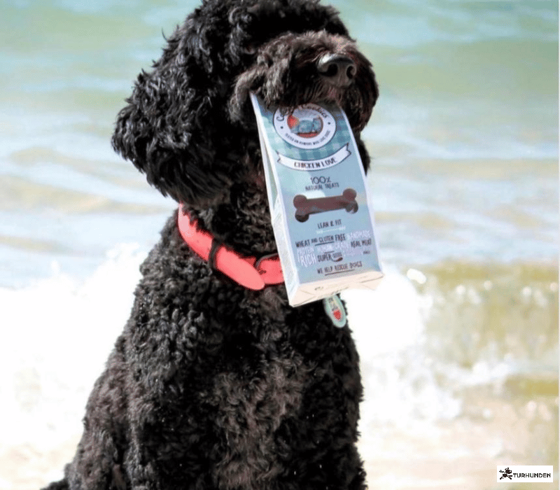 Cooka's Cookies - Chicken Love