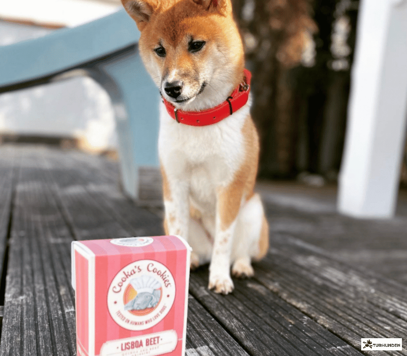 Cooka's Cookies - Lisboa Beet