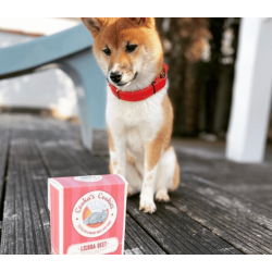 Cooka's Cookies - Lisboa Beet