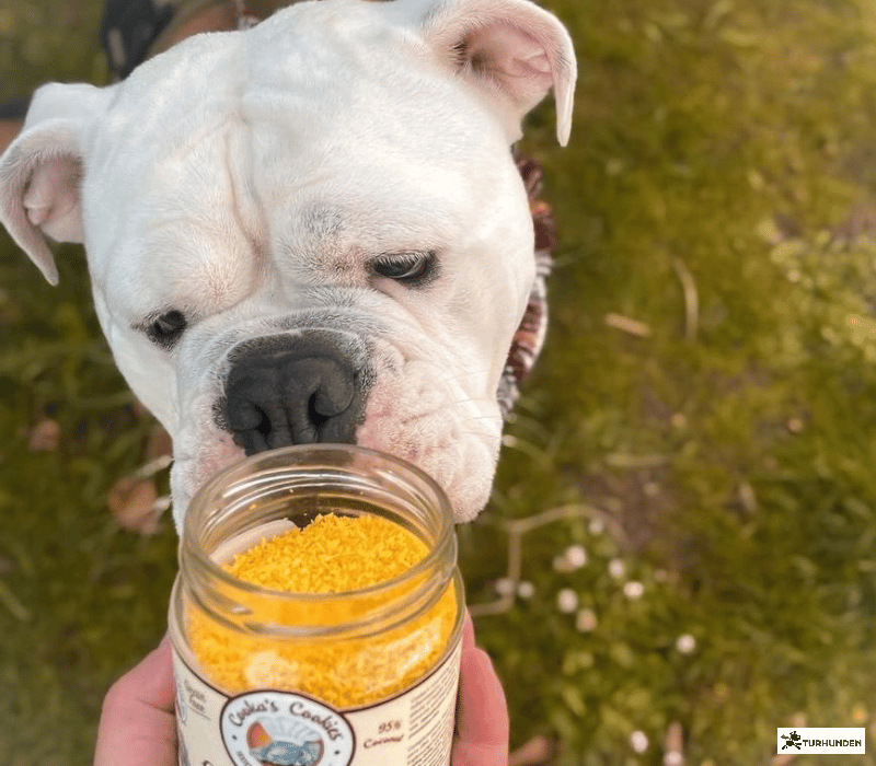Cooka's Cookies - Golden Paste Dust