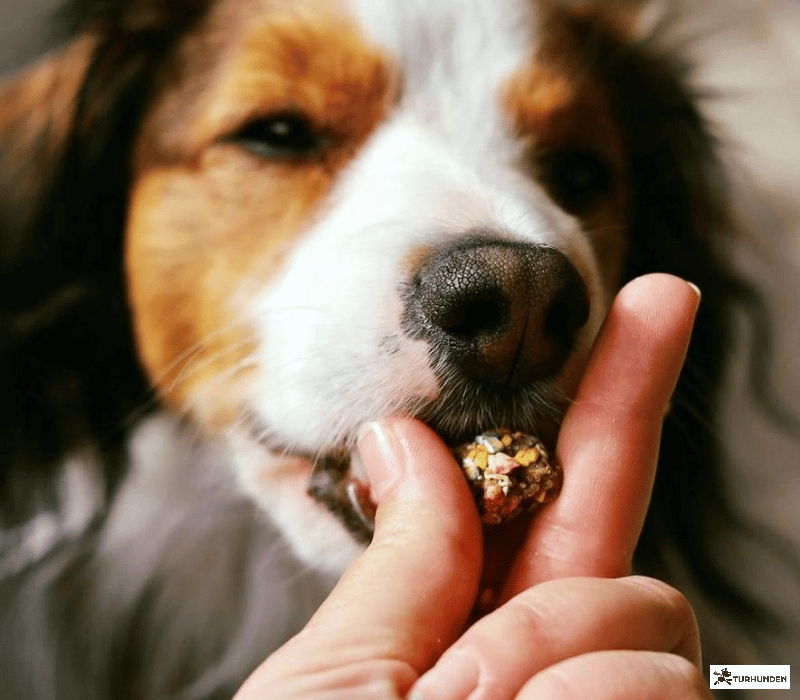 Cooka's Cookies - Happy Bonbons