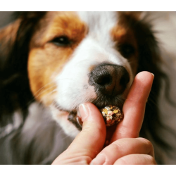 Cooka's Cookies - Happy Bonbons