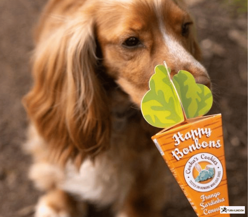 Cooka's Cookies - Happy Bonbons