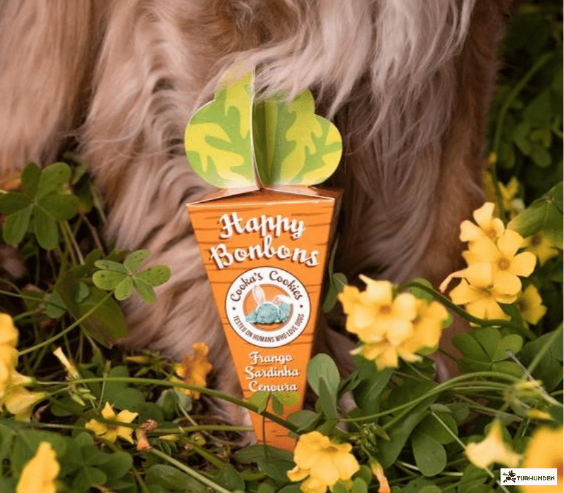 Cooka's Cookies - Happy Bonbons