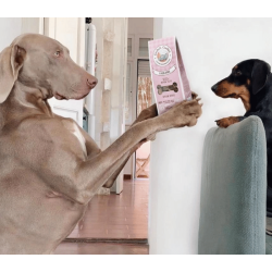 Cooka's Cookies - Liver Pat