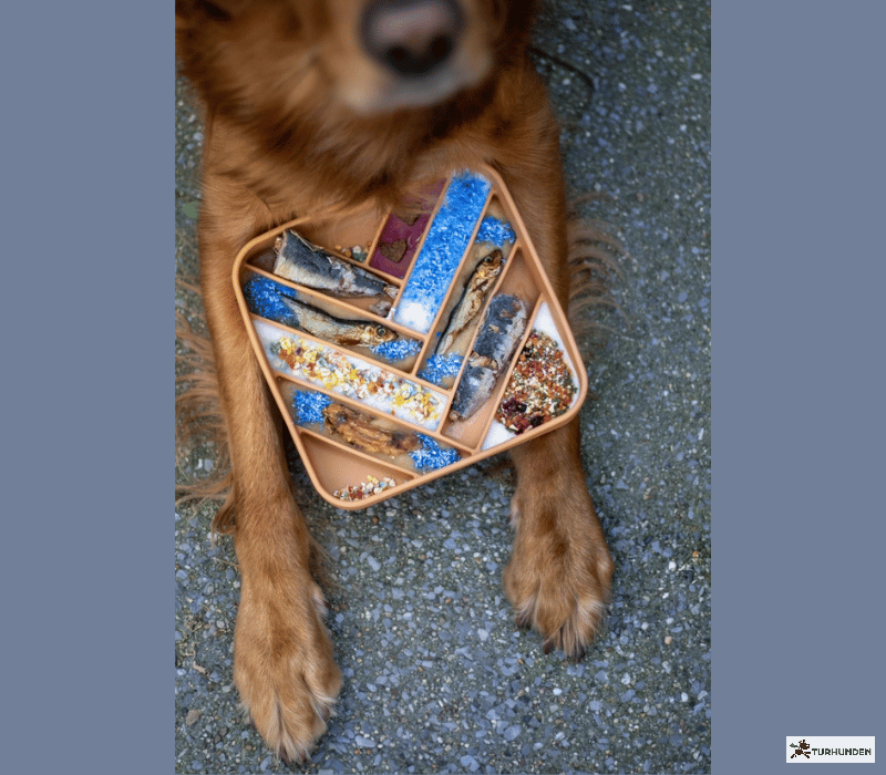 Cookas Cookies Mermaid Dust