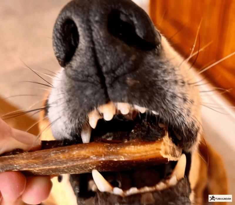 Cooka�s Cookies Pork Spawghetti