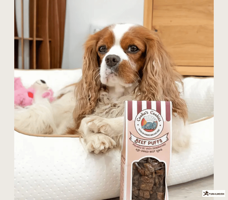 Cooka's Cookies - Beef Puffs