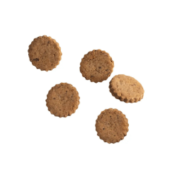 Cooka's Cookies - Gourmet Burgers