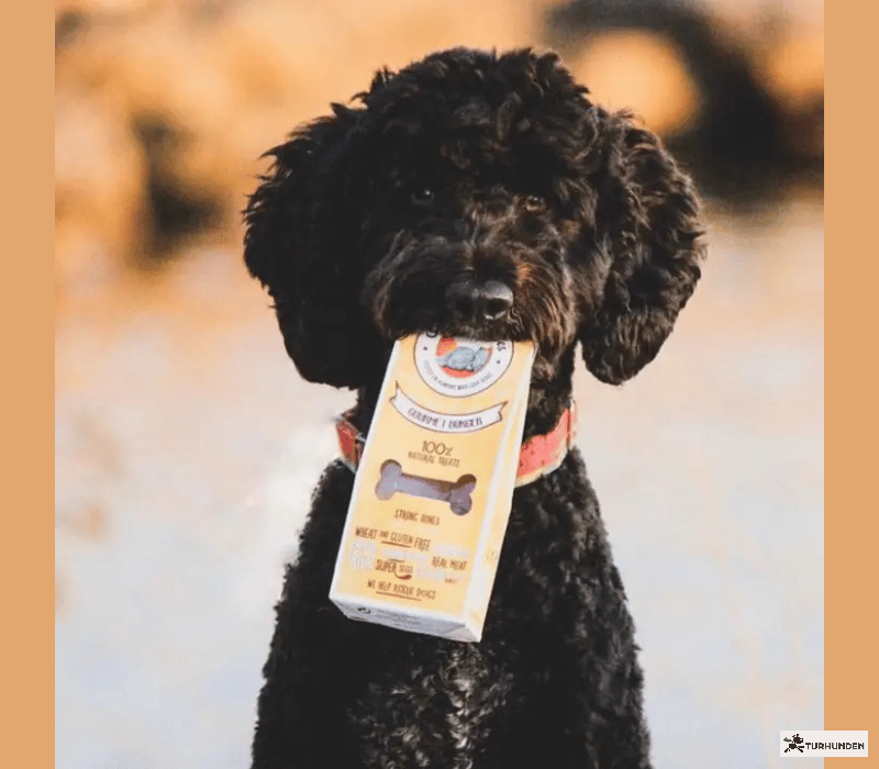 Cooka's Cookies - Gourmet Burgers