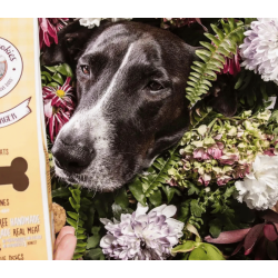 Cooka's Cookies - Gourmet Burgers