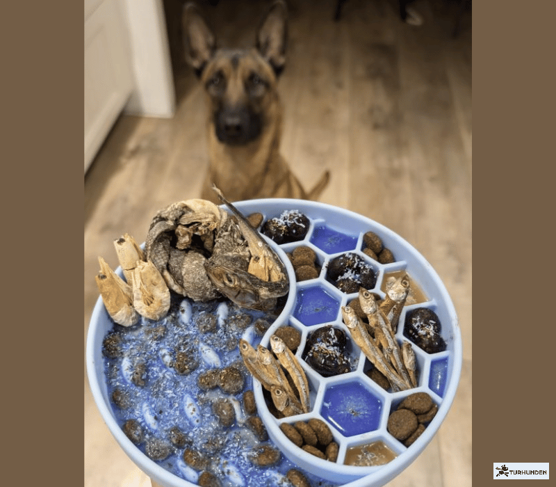 Cooka's Cookies - Blue Spirulina