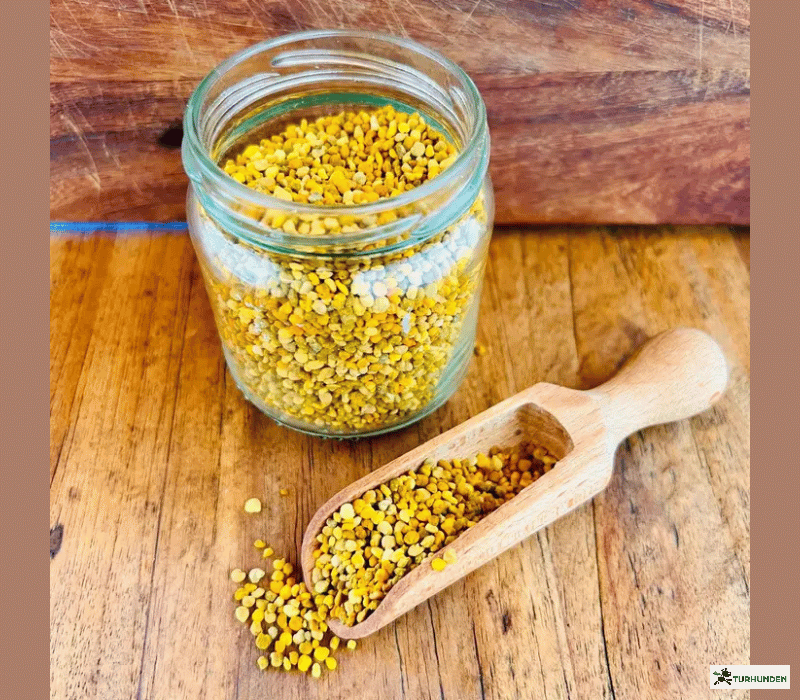 Cooka's Cookies - Bee-Magic