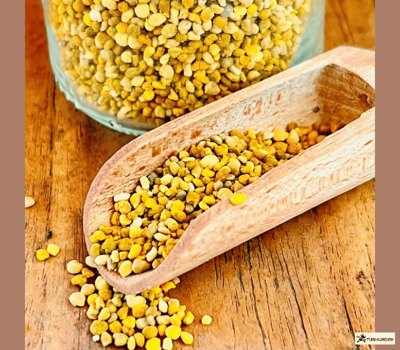 Cooka's Cookies - Bee-Magic