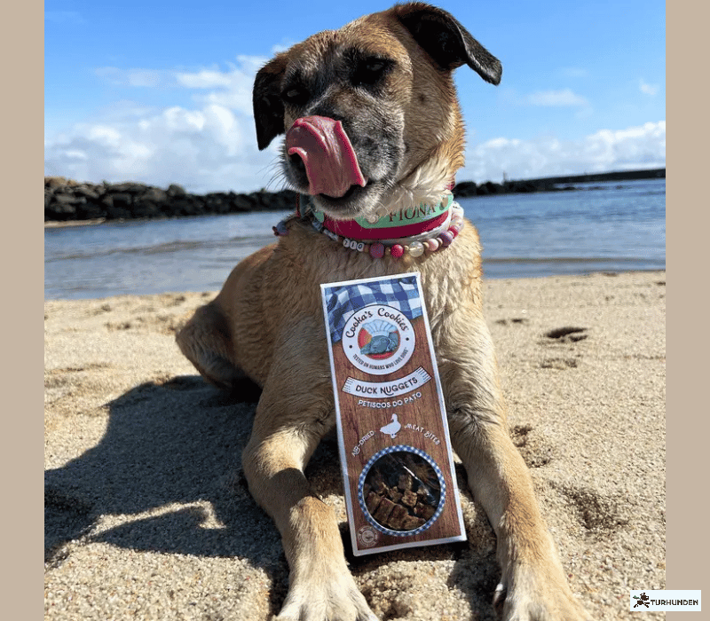 Cooka's Cookies - Duck Nuggets