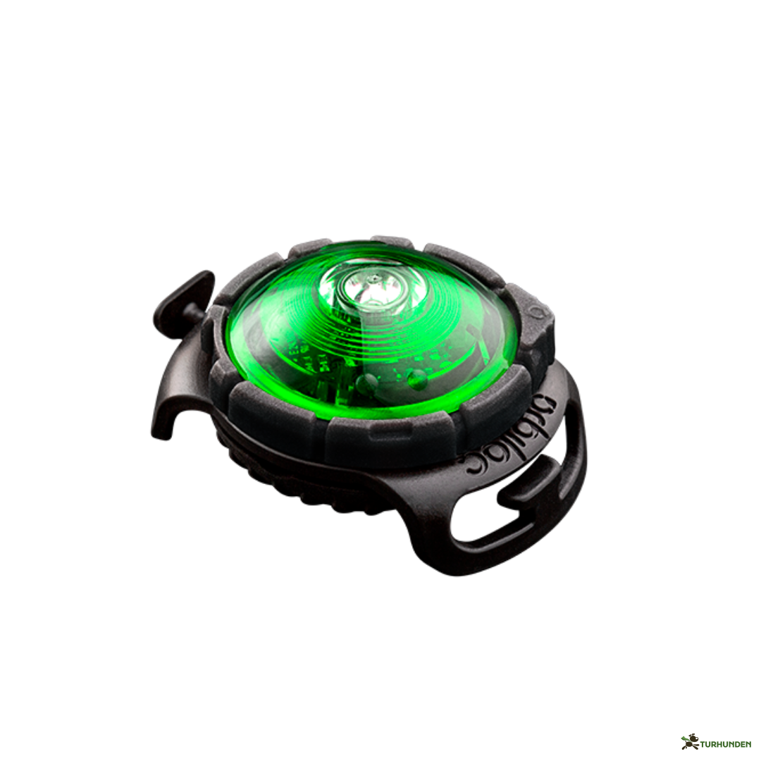 Orbiloc Dog Dual - Grn