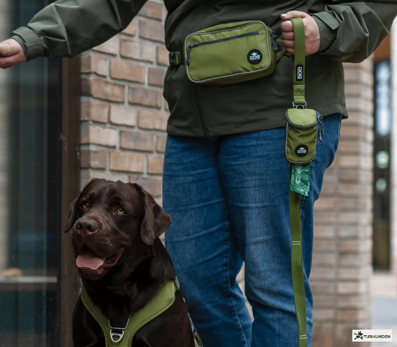 DOG Copenhagen Go Explore Bltetaske