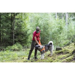 Pinewood Finnveden Hybrid, olive - Dame