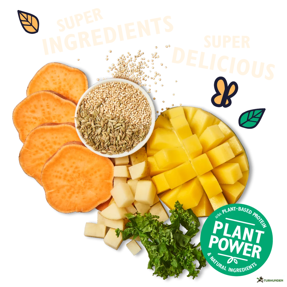 Lily's Kitchen - Tropical Mango Jerky