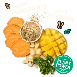 Lily's Kitchen - Tropical Mango Jerky