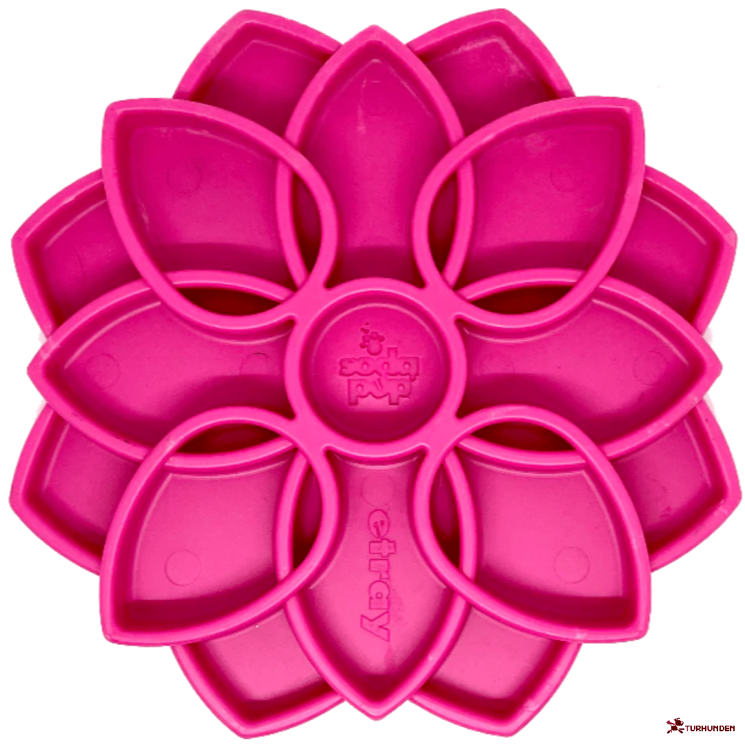 Sodapup Etray Mandala Slowfeeder