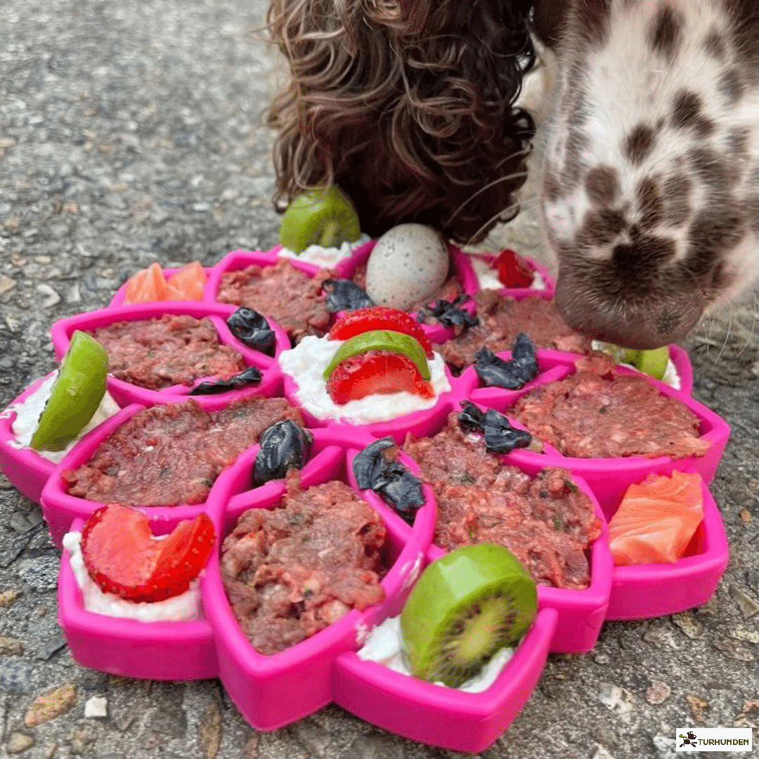 Sodapup Etray Mandala Slowfeeder