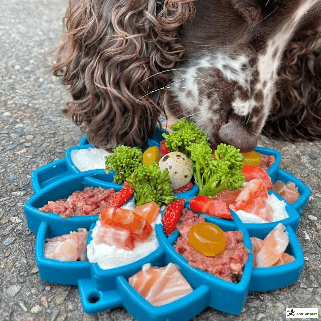 Sodapup Etray Mandala Slowfeeder