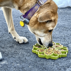 Sodapup Etray Mandala Slowfeeder