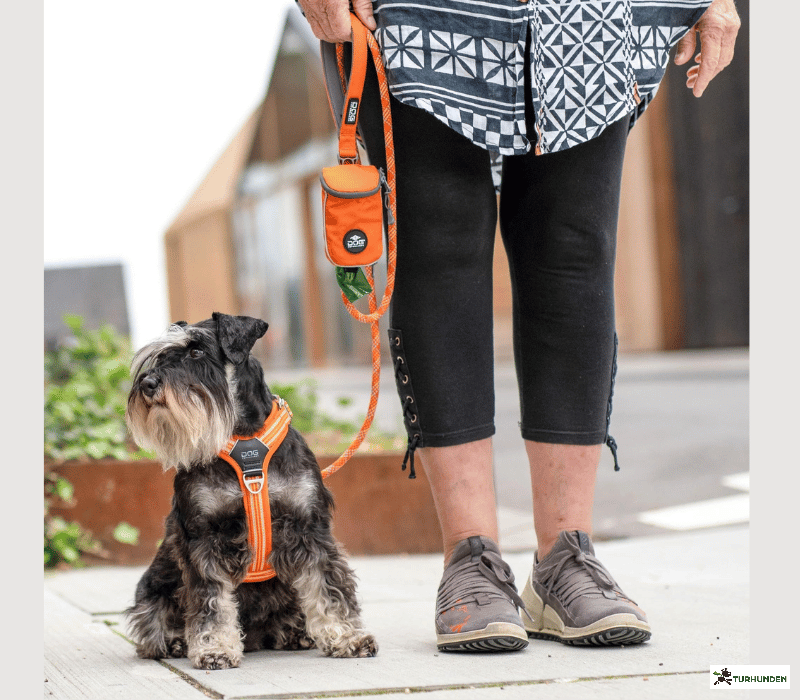 Dog Copenhagen Comfort Walk Air Sele 