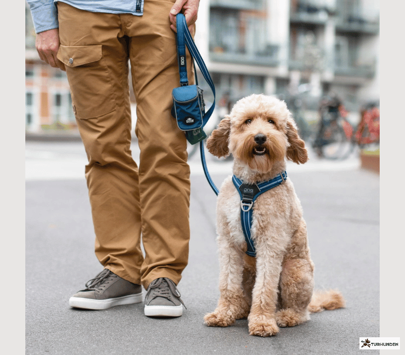 Dog Copenhagen Comfort Walk Air Sele 