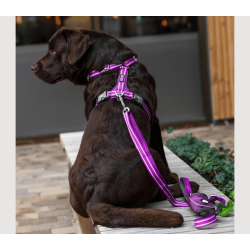 Dog Copenhagen Comfort Walk Air Sele 