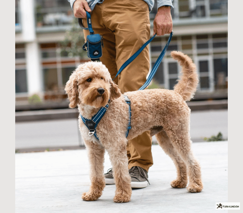 Dog Copenhagen Comfort Walk Air Sele 